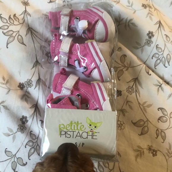 Pink converse for small doggies - Picture 6 of 7